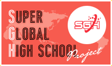 SUPER GLOBAL HIGH SCHOOL Project